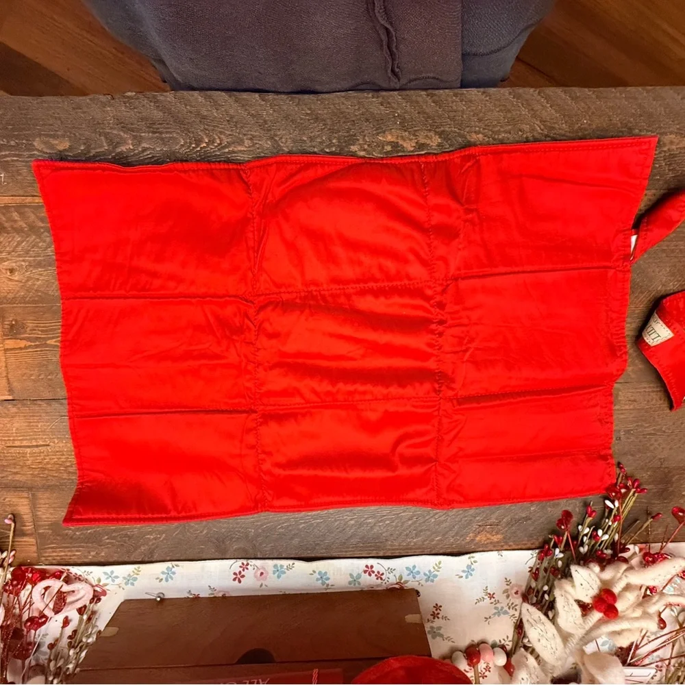 Lily Jade Shaylee Diaper Bag Red replacement Insert Travel Changing Pad GUC!